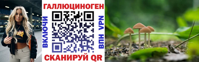 Галлюциногенные грибы Cubensis  Острогожск 